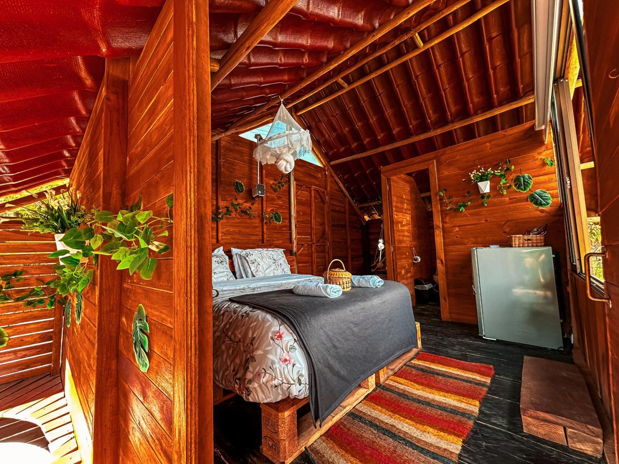 فيلا La Julita Glamping لا ميسا المظهر الخارجي الصورة